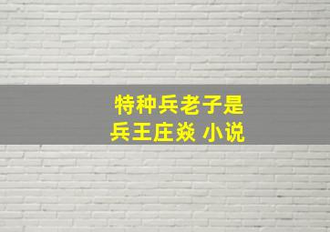 特种兵老子是兵王庄焱 小说